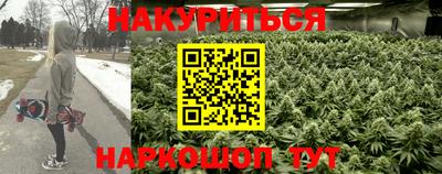 гидропоника Заволжье